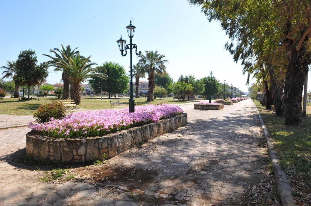 Apartments Dimitra Paralia Dionysiou Exteriör bild